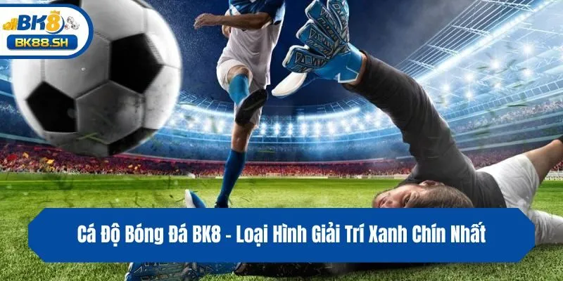 Cá Độ Bóng Đá BK8 - Loại Hình Giải Trí Xanh Chín Nhất