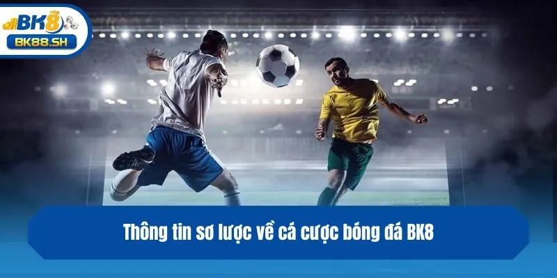 Cá Độ Bóng Đá BK8 - Loại Hình Giải Trí Xanh Chín Nhất 2 Thông tin sơ lược về cá độ bóng đá BK8
