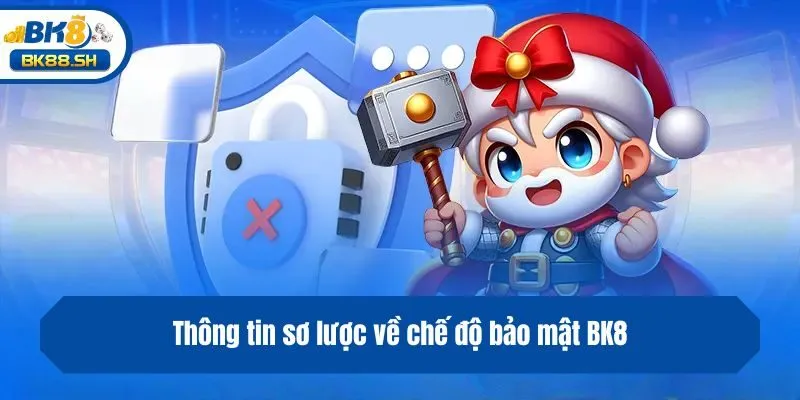 Thông tin sơ lược về chế độ bảo mật BK8